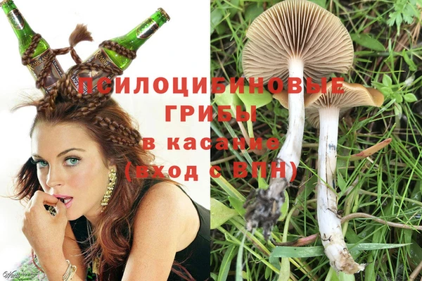 соль ск Аркадак